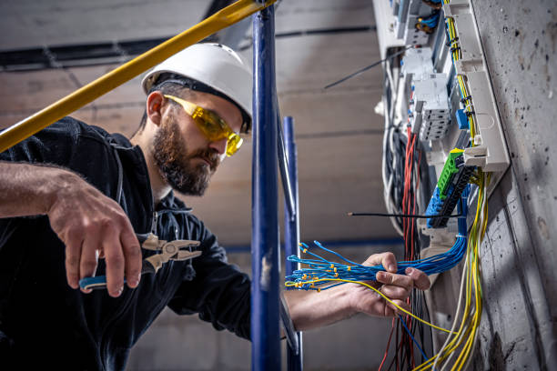 Best Licensed Electrician  in Kealakekua, HI