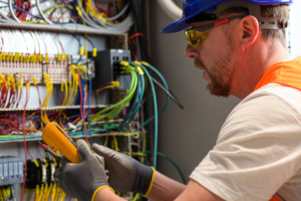 Best Electric Panel Repair  in Kealakekua, HI